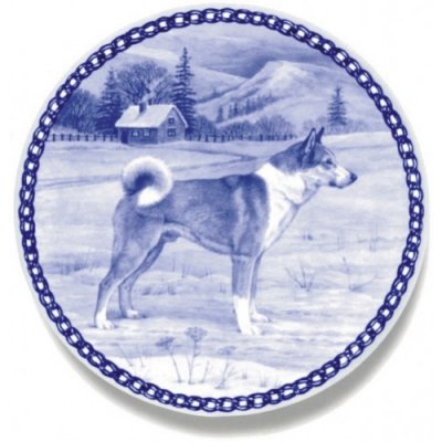 Västsibirisk laika Lekven design