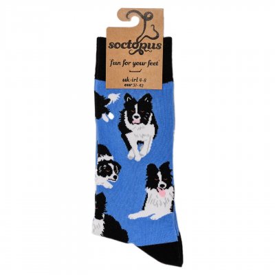 Border collie strumpor 2-pack 1 Soctopus