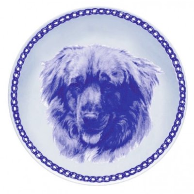 Nova scotia duck tolling retriever prydnadstallrik Lekven 7563