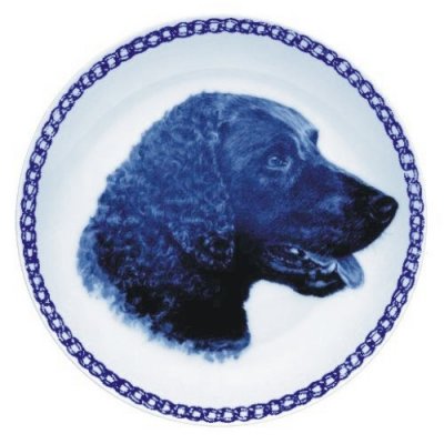 Curly coated retriever Lekven design