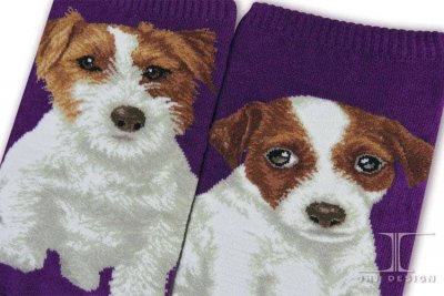 Jack russell terrier ankelstrumpor Masterpiece JHJ 2