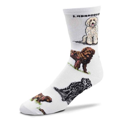 Labradoodle strumpor FB 2022 x