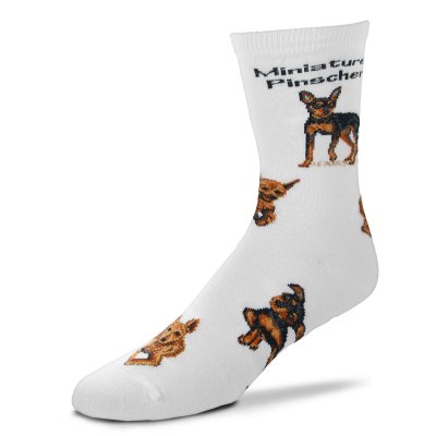 Dvärgpinscher strumpor special