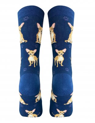 Chihuahua (korthårig) strumpor 1-pack ES o