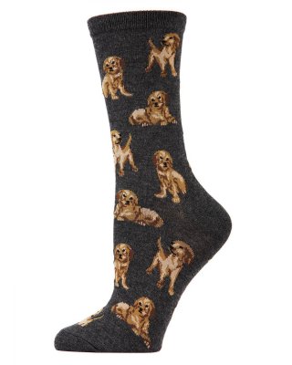 Golden retriever valpar strumpor IC