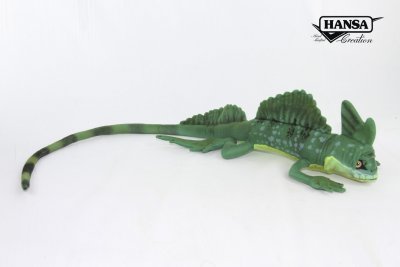 Hansa green basilisk