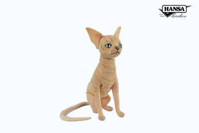 Sphynx cat Hansa 8117