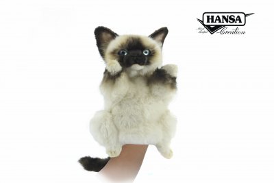Katt ragdoll handdocka 8228 Hansa