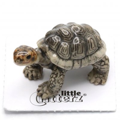 Sköldpadda miniatyr porslinsfigur Darwin Galapagos