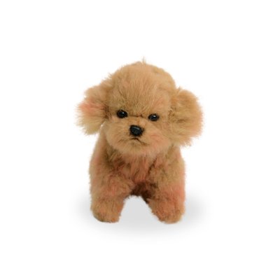 Pudel mjukisdjur Toy poodle tea cup 16 cm 8418 Hansa