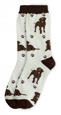 Labrador retriever (brun) strumpor 1-pack ES