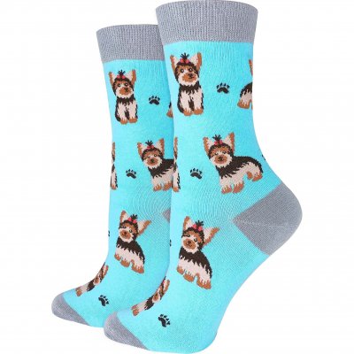 Yorkshireterrier strumpor 1-pack dam Imagery