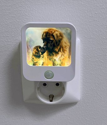 Nattlampa LED med olika hundmotiv