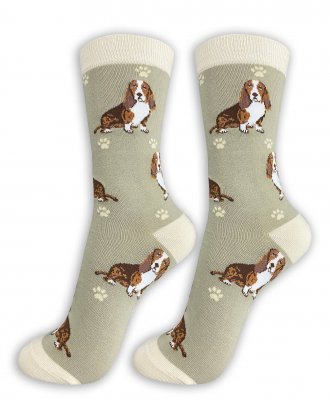 Basset hound strumpor 1-pack ES 1