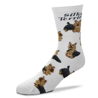 Silky terrier strumpor special