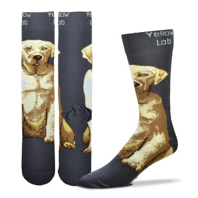 Labrador retriever (gul) strumpor special FB