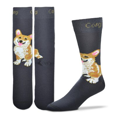 Welsh corgi pembroke strumpor special FB