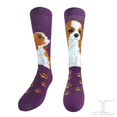 Cavalier king charles spaniel strumpor Masterpiece JHJ