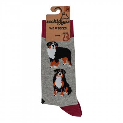 Berner sennenhund strumpor 1-pack 1 Soctopus