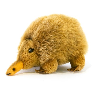 Myrpiggsvin mjukisdjur Mini Echidna 11 cm Bocchetta