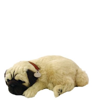 Perfect petzzz mops