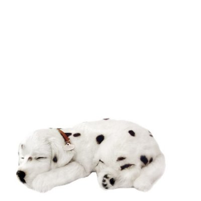 Dalmatiner som andas Perfect Petzzz