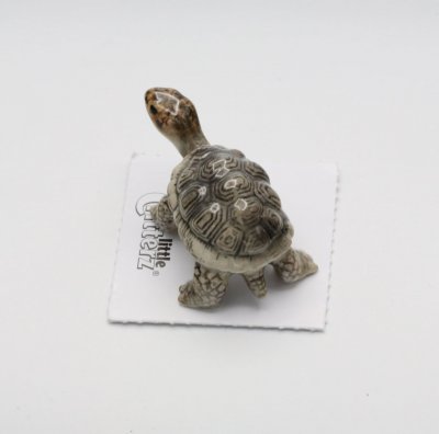 Sköldpadda miniatyr porslinsfigur Darwin Galapagos