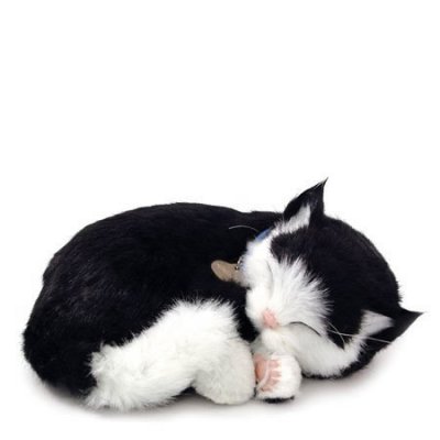 Kattunge Perfect Petzzz