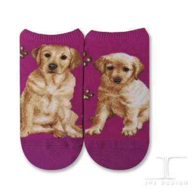 Labrador retriever (gul) ankelstrumpor Masterpiece JHJ