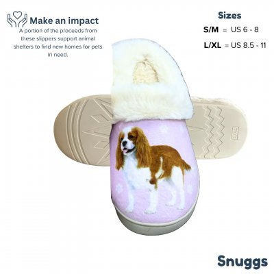 Cavalier king charles spaniel tofflor ES