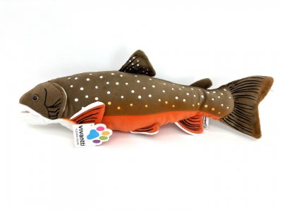 Röding arktisk fisk mjukisdjur 43 cm Vivantti
