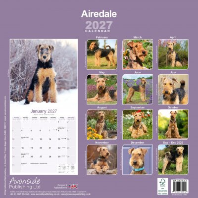 Airedaleterrier väggkalender 2027