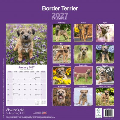 Borderterrier väggkalender 2027