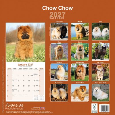 Chow chow väggkalender 2027