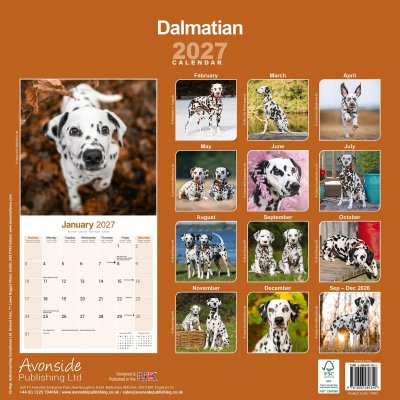 Dalmatiner väggkalender 2027