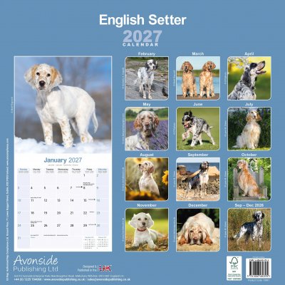 Engelsk setter väggkalender 2027