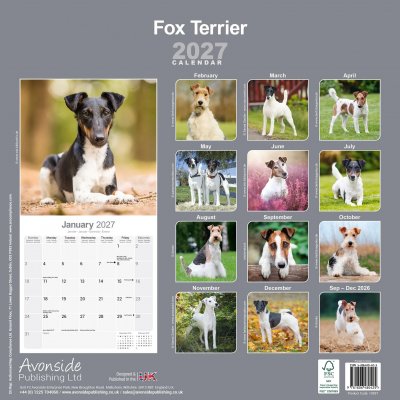 Släthårig foxterrier strävhårig foxterrier väggkalender 2027
