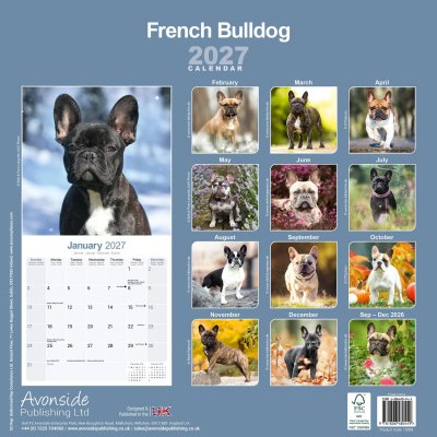 Fransk bulldogg väggkalender 2027