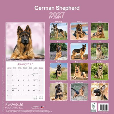 Tysk schäferhund väggkalender 2027
