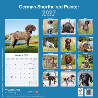 Korthårig vorsteh väggkalender 2027