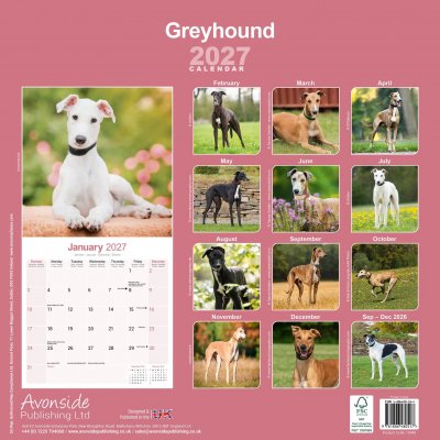 Greyhound väggkalender 2027