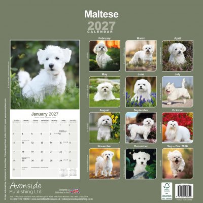 Malteser väggkalender 2027