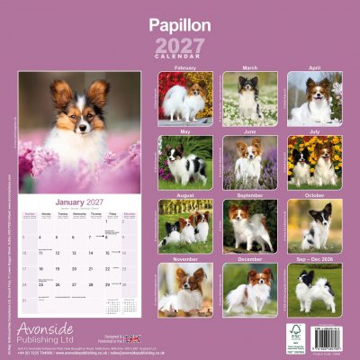 Papillon väggkalender 2027