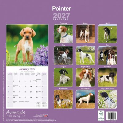 Pointer väggkalender 2027