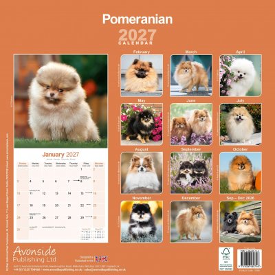 Pomeranian väggkalender 2027