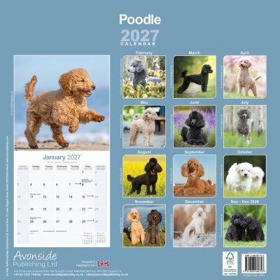 Pudel väggkalender 2027