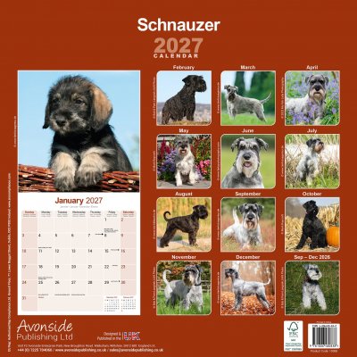 Schnauzer väggkalender 2027