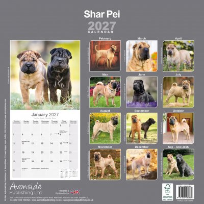 Skotsk terrier väggkalender 2027