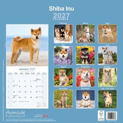 Shiba väggkalender 2027
