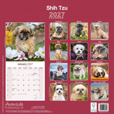 Shih tzu väggkalender 2027